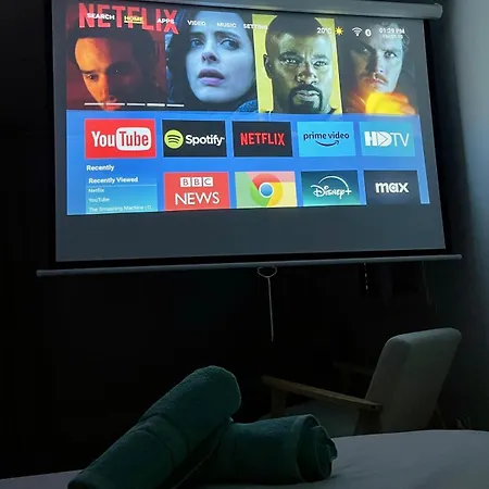 Luxurious With Sauna, Video Projector, Garden
